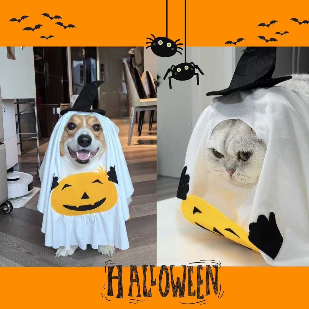 Pumpkin Ghost Pet Costume — Medium — product image 5