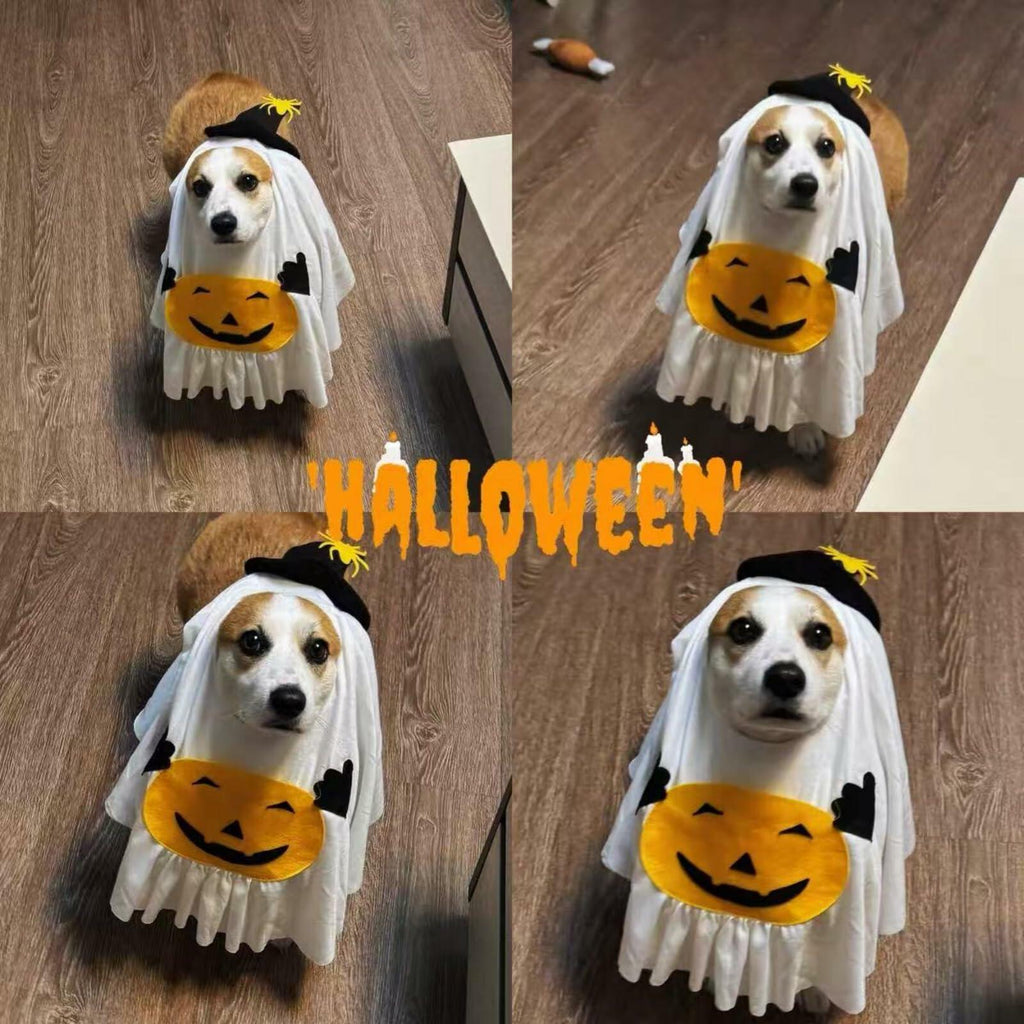 Pumpkin Ghost Pet Costume — Medium — product image 6