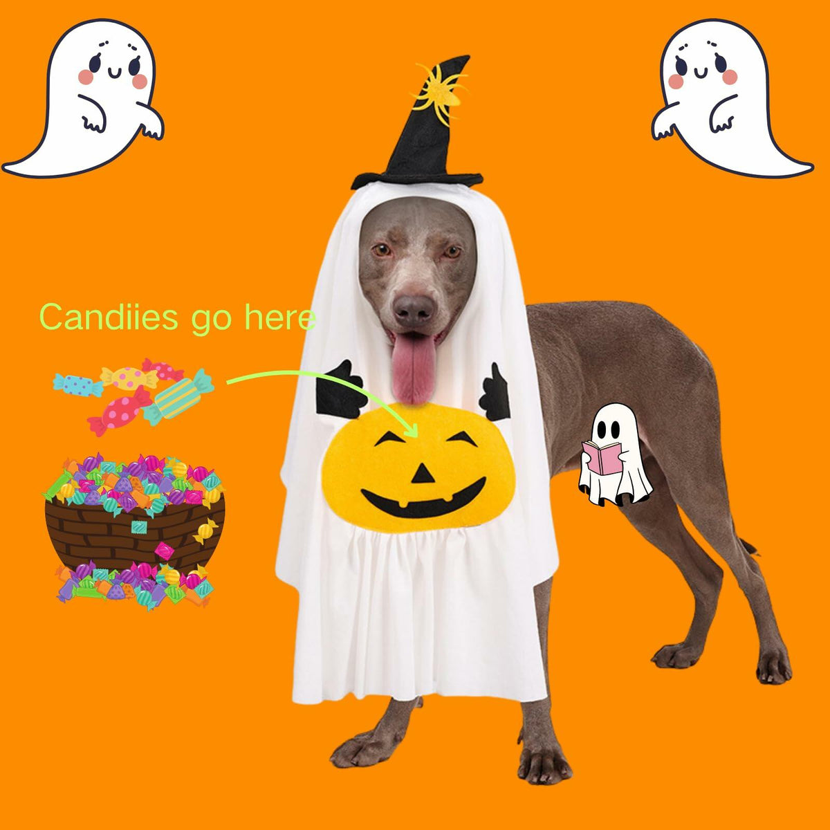 Pumpkin Ghost Pet Costume — Medium — product image 3